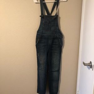 Free People skinny denim overalls